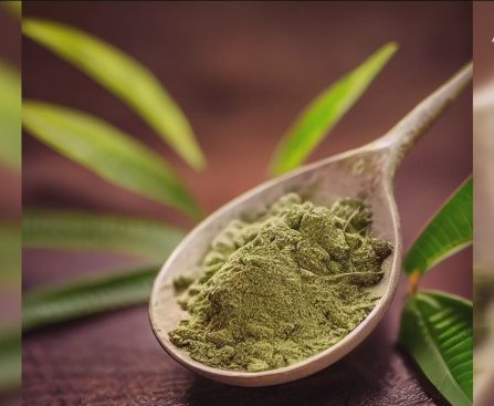 Buy Kratom Near Me Your Guide to Saving Money on Local Purchases
